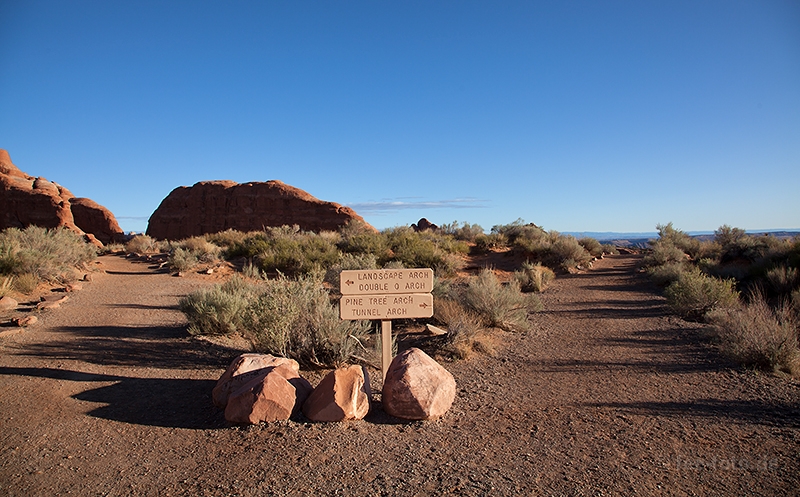 Vier Arches stehen zur Wahl